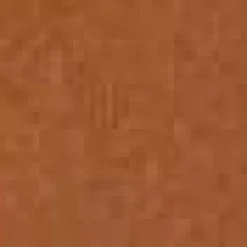 Frye Belts^Embossed Edge With Rivets Belt Tan