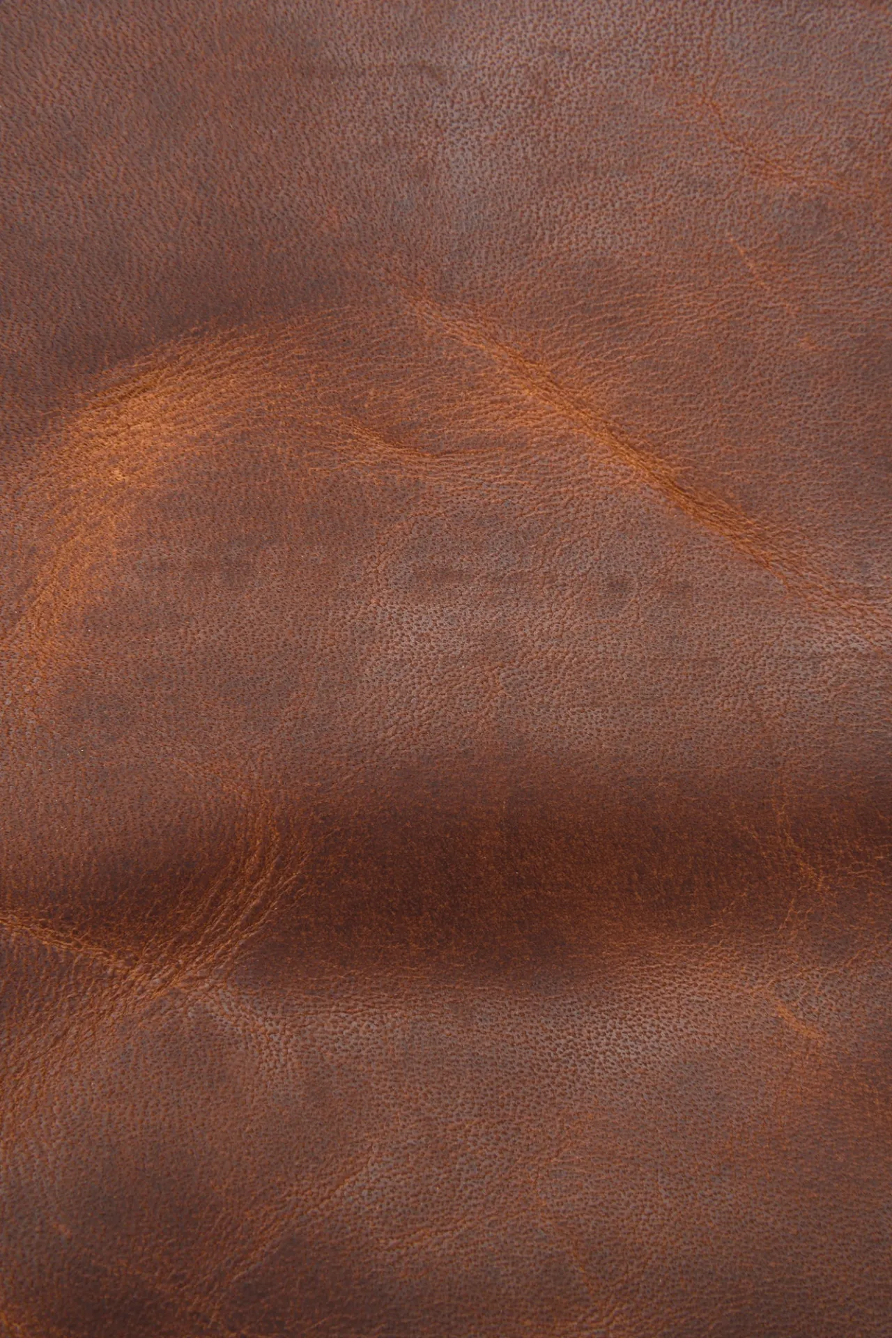 Frye Bags^Logan Messenger Cognac