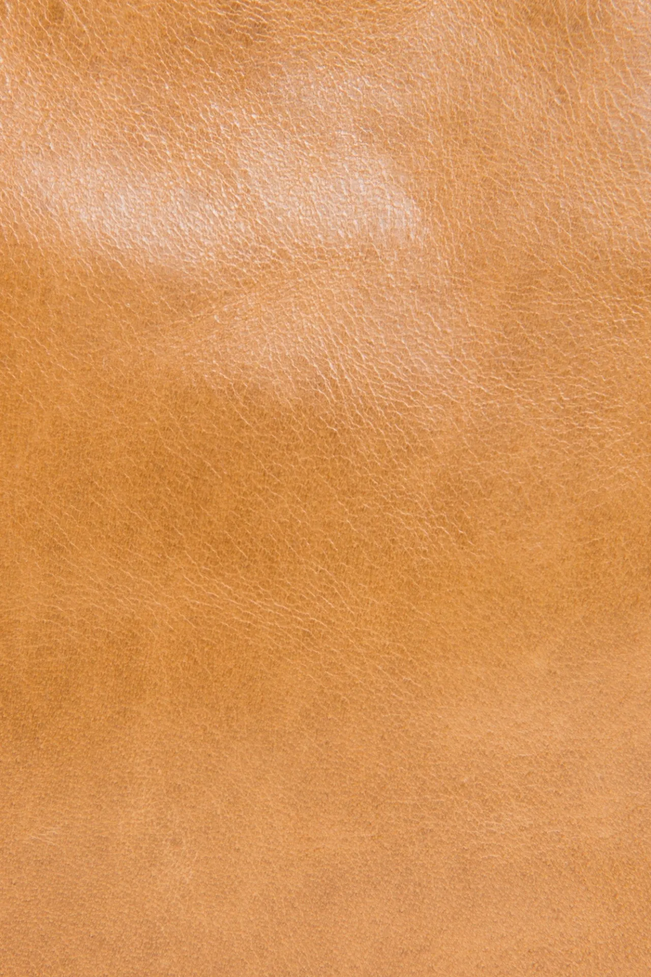 Frye Handbags^Melissa Swing Pack