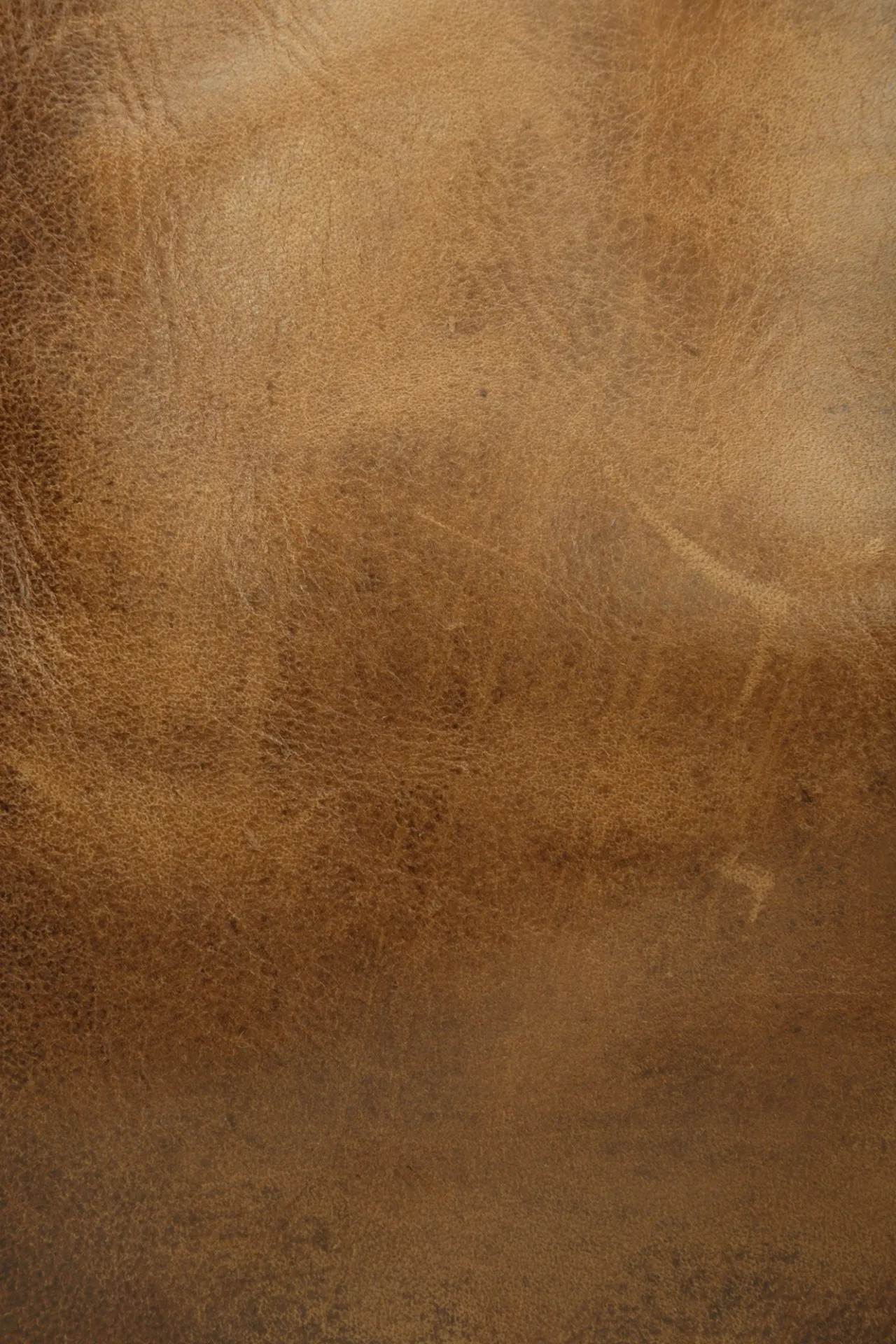 Frye Handbags^Melissa Tote