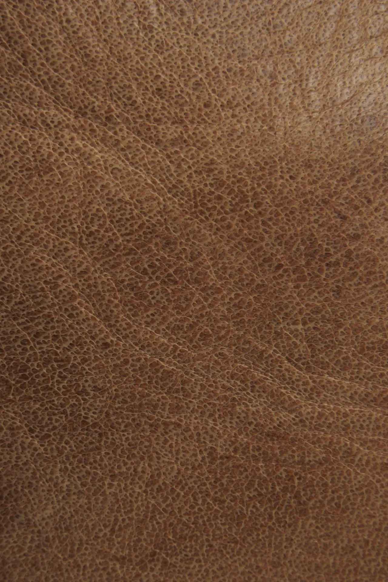 Frye Handbags^Melissa Tote