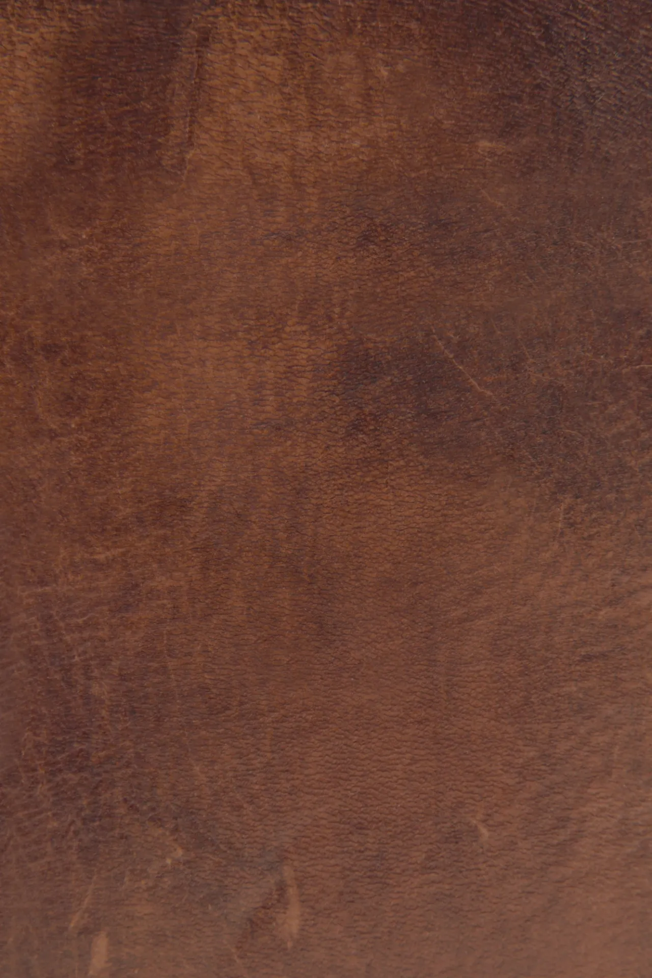 Frye Wallets & Accessories^Melissa Zip Around Wallet