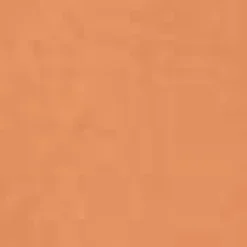 Frye Belts^Woven Overlay Belt Tan