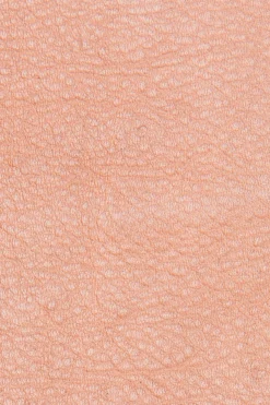 Frye Wallets & Accessories^Zuri Wallet Crossbody Cognac